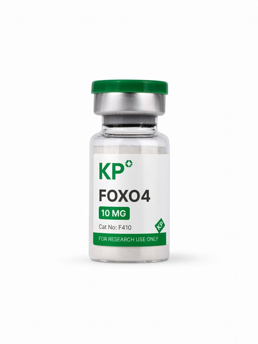 FOXO4 product photo